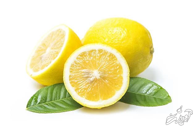 دور کردن مورچه از خانه با لیمو لیمو